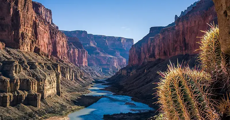 river at the bottom of the Grand Canyon