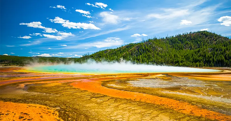 Old Faithful geyser in Yellowstone National Park