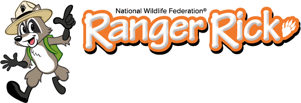 Little_buffalo illustration of an anthropomorphic Racoon named Ranger Rick