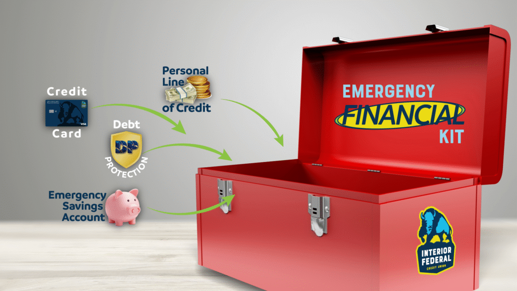 How an Emergency Financial Kit Can Support You During a Government ...