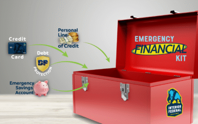 How an Emergency Financial Kit Can Support You During a Government Shutdown