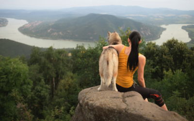 Turning Financial Strain into a Clear Path Forward